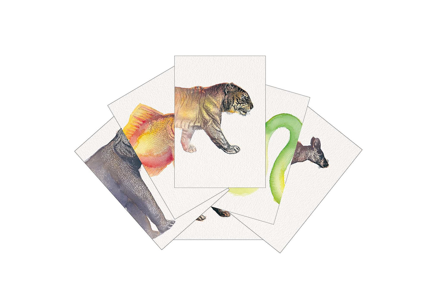 cartes d'association d'animaux têtes et queues
