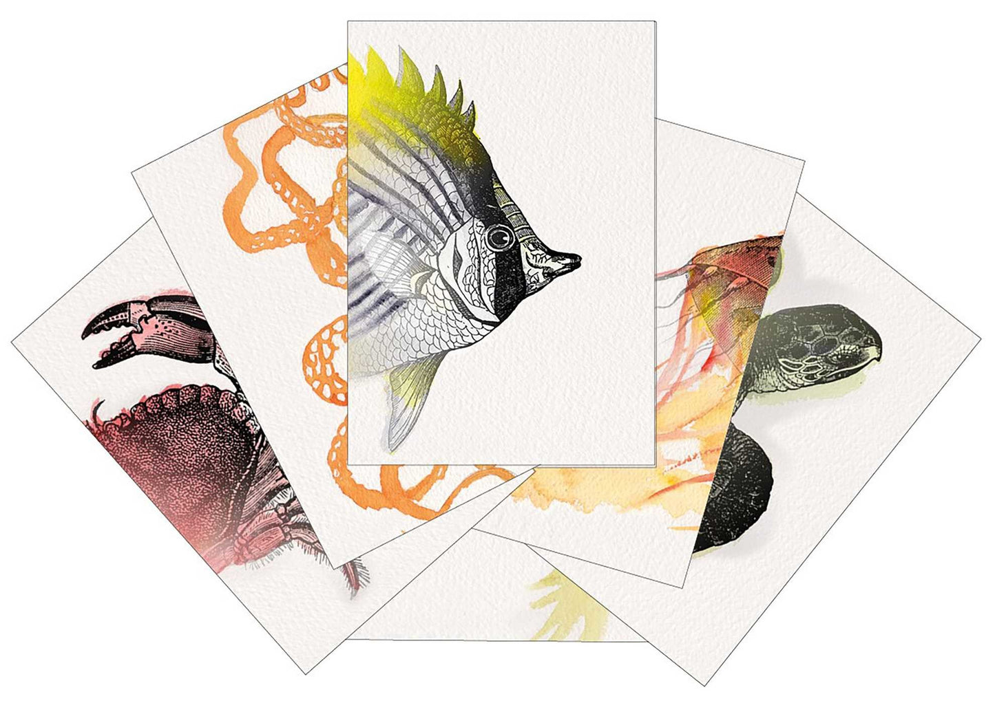 Cartes match-it sous l'eau pile et face