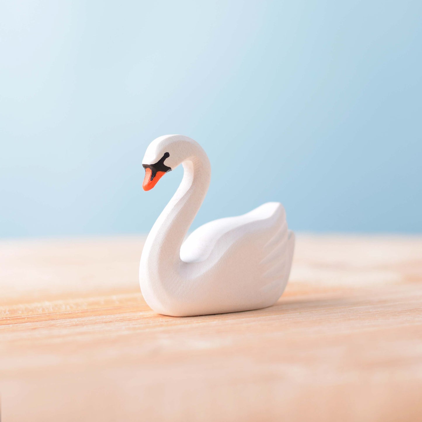 Cygne et Lac du Cœur