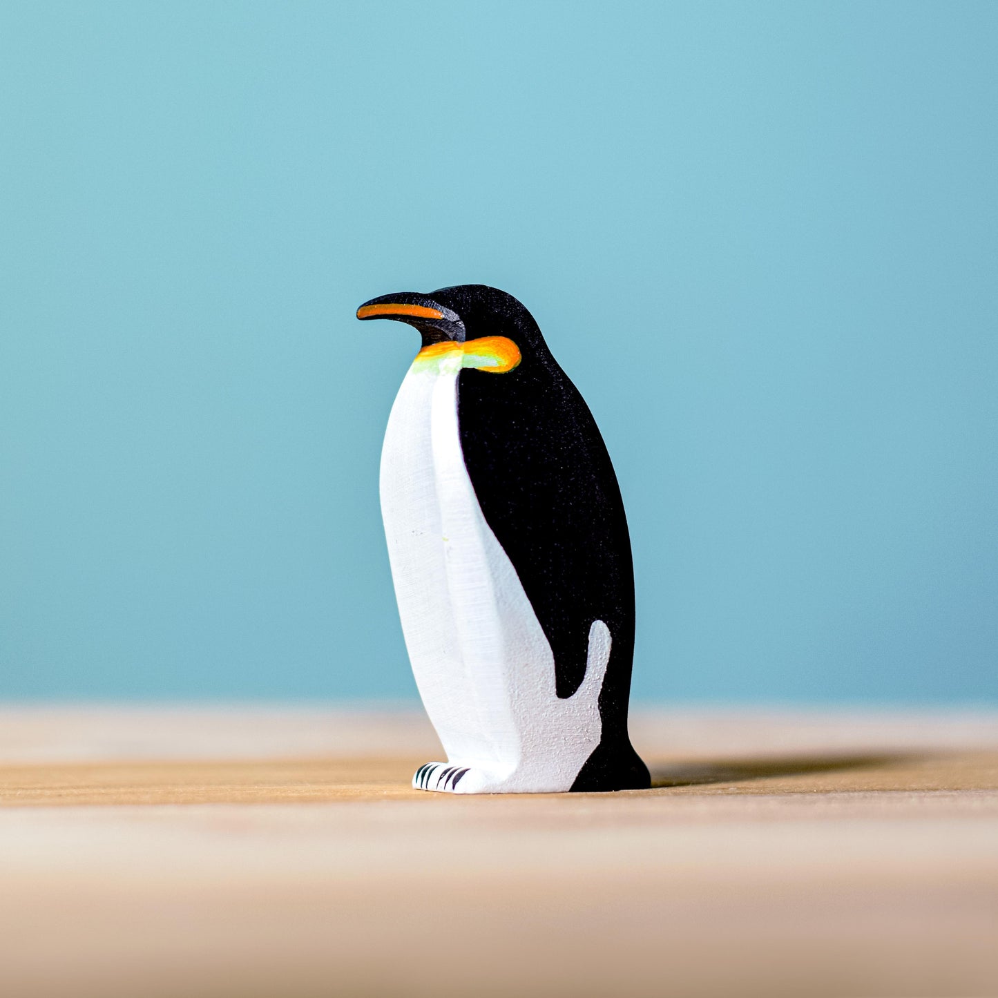 Pingouins et banquise