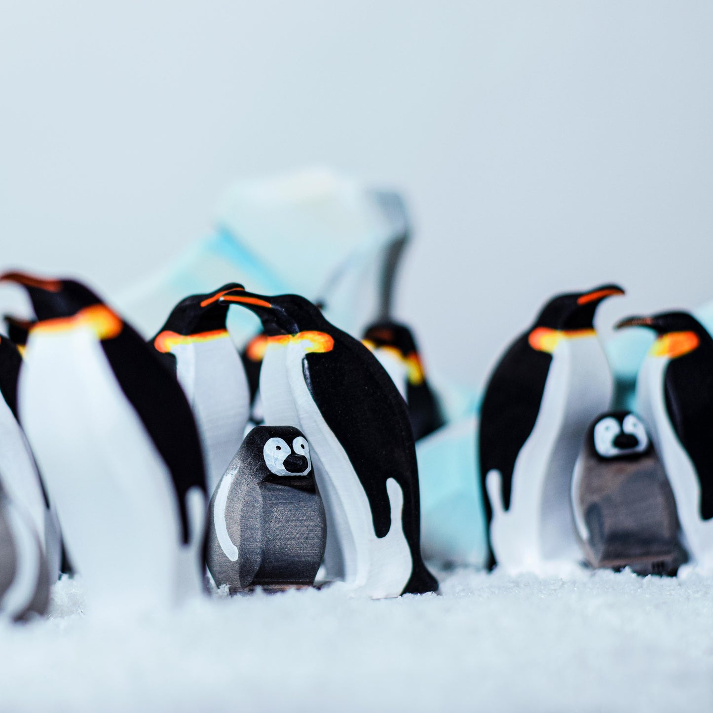 Pingouins et banquise