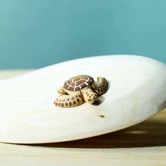 Tortue et Bébé Tortue