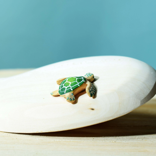 Tortue et Bébé Tortue