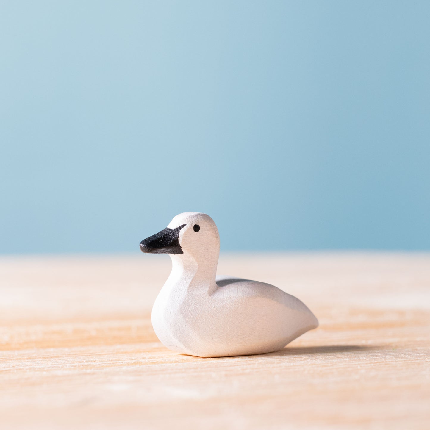 Cygne et Lac du Cœur