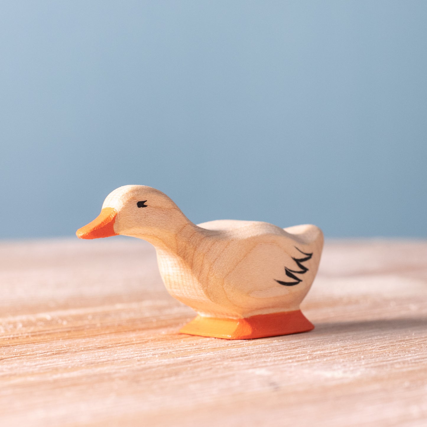 Canards
