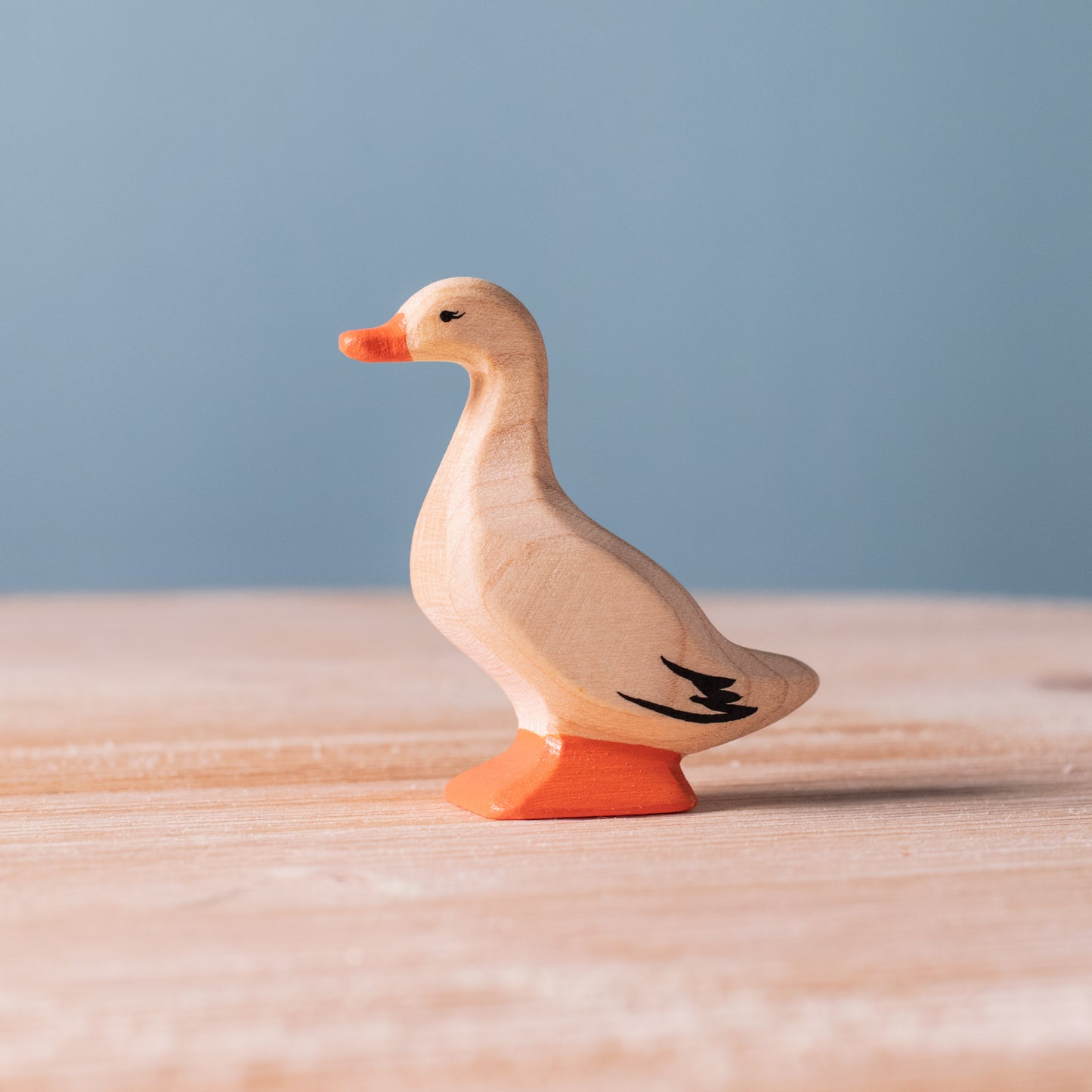 Canards