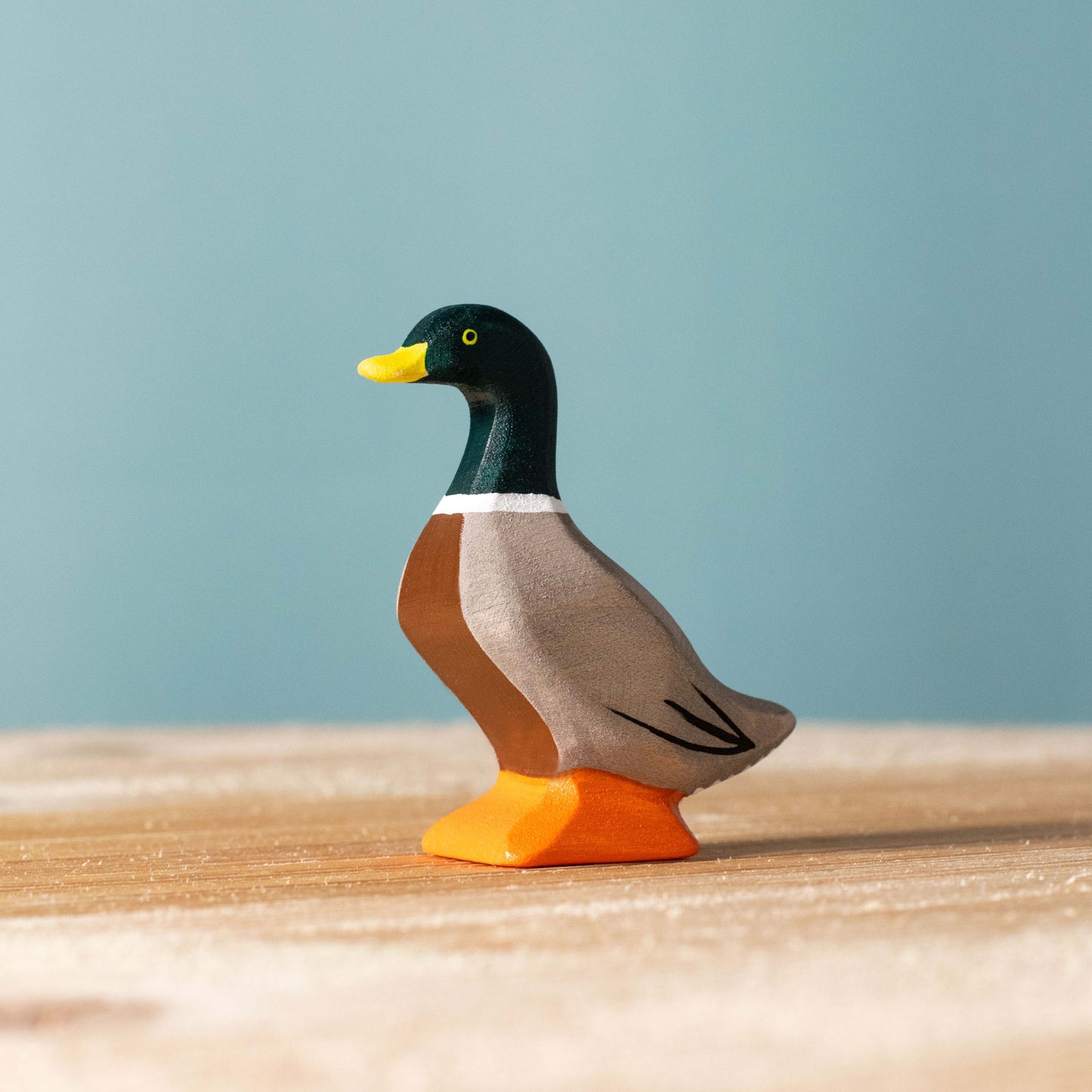 Canards
