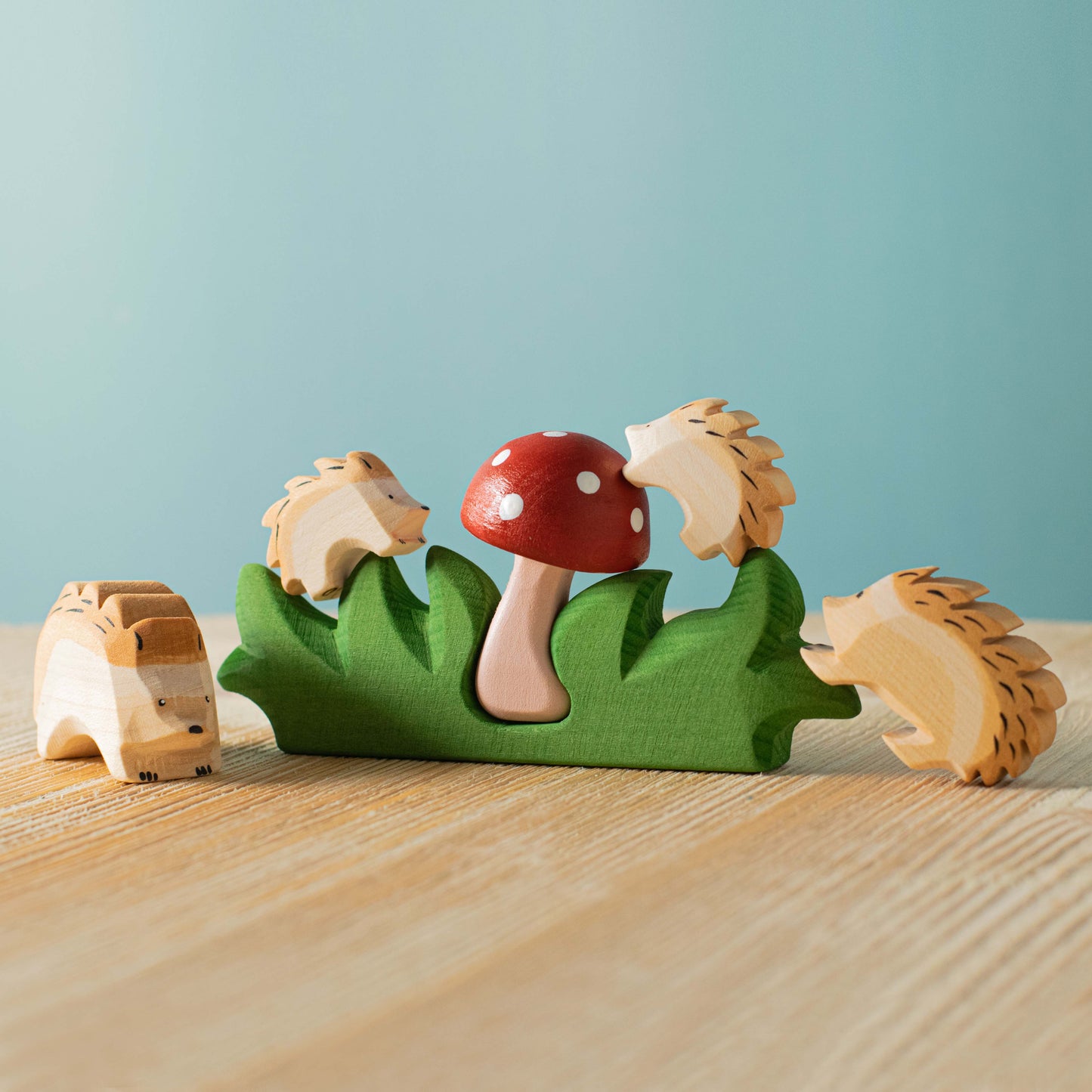 ENSEMBLE Hérissons et Champignons