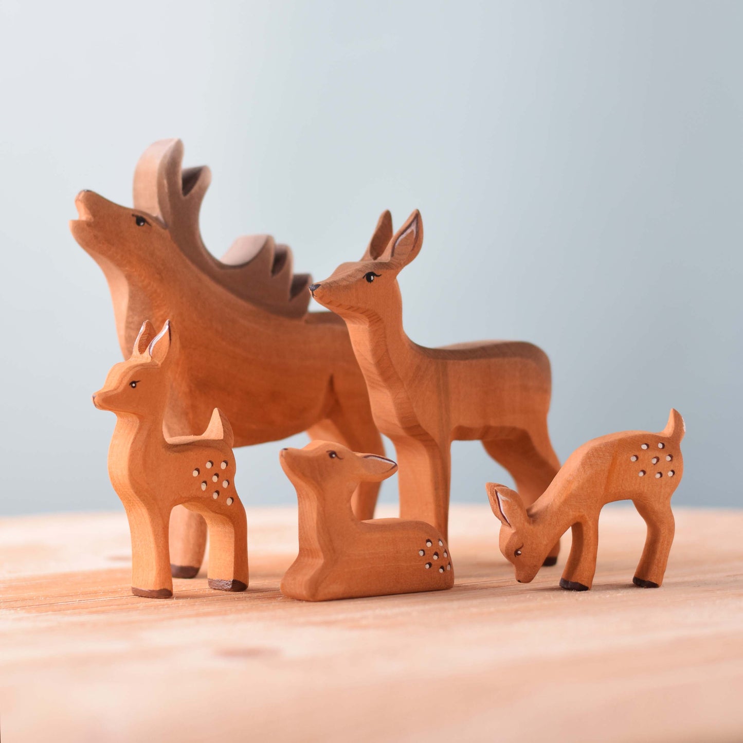 Cerf et Faon