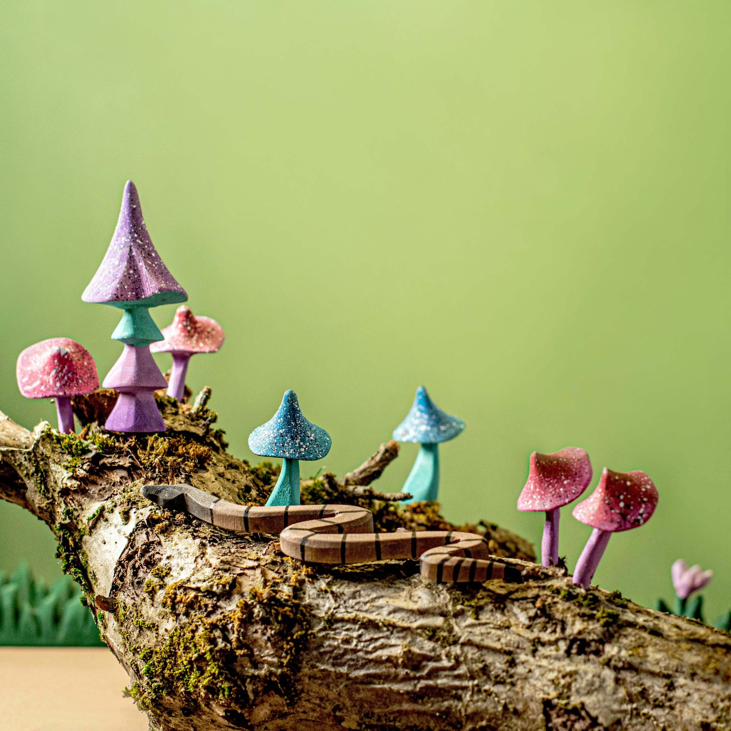 Ensemble de champignons magiques