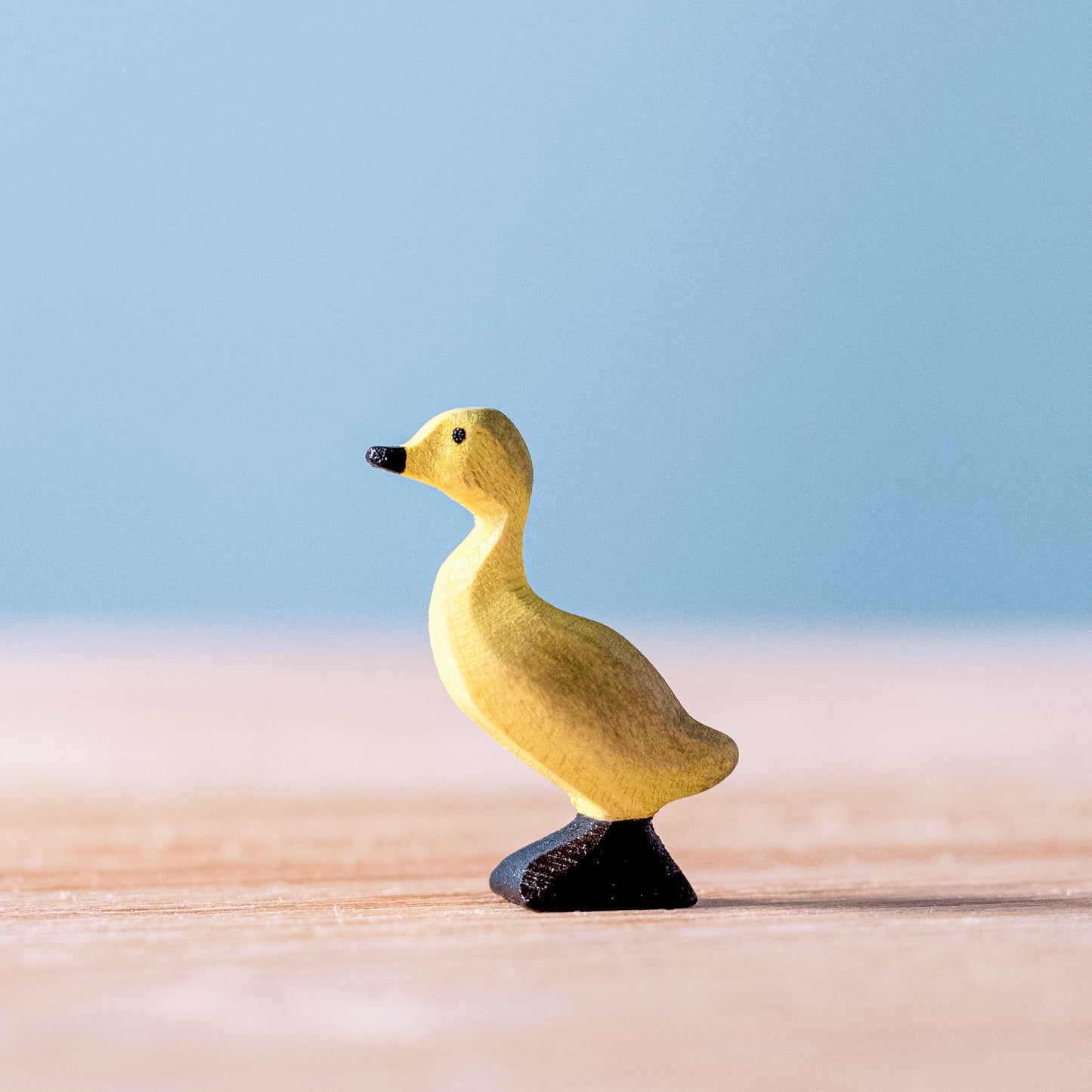 Canards
