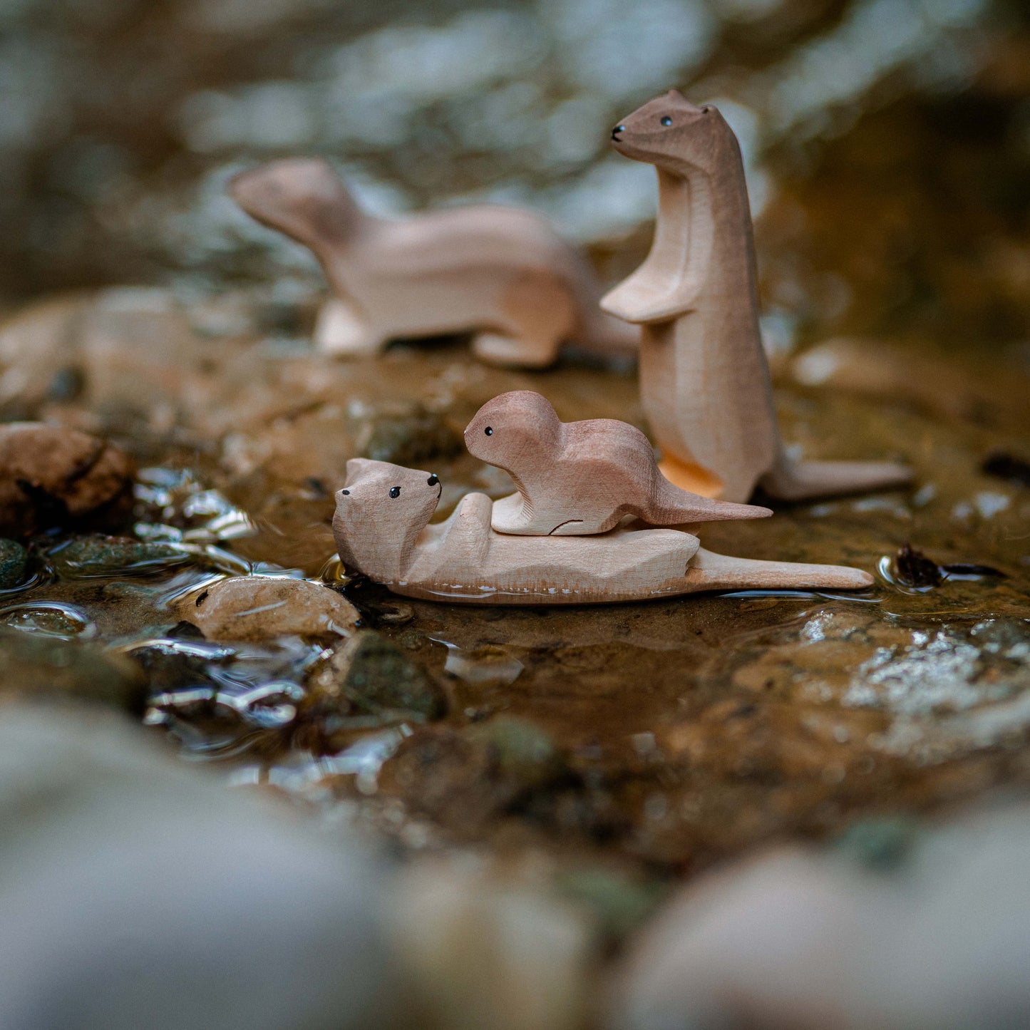 Loutre et Famille