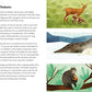 baby animals; a ladybird book