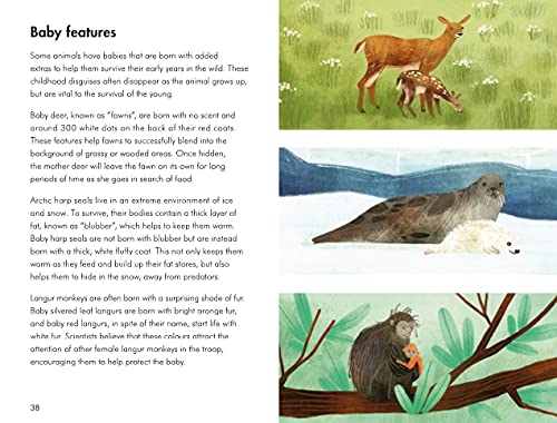 baby animals; a ladybird book