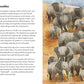 baby animals; a ladybird book