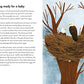 baby animals; a ladybird book