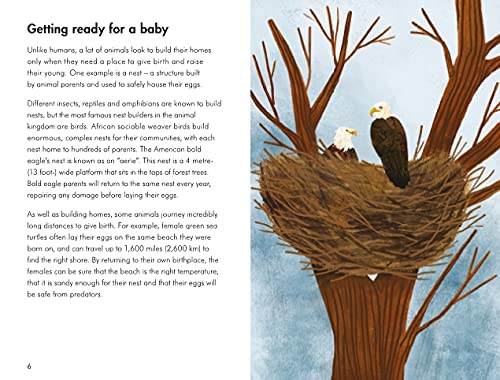 baby animals; a ladybird book