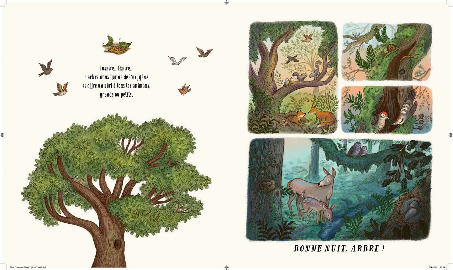Les secrets de la nature : quand la nuit tombe (slow down... and sleep tight)
