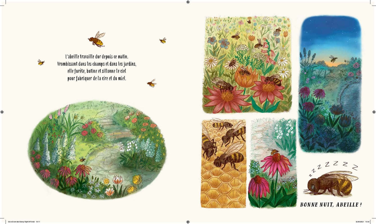 Les secrets de la nature : quand la nuit tombe (slow down... and sleep tight)