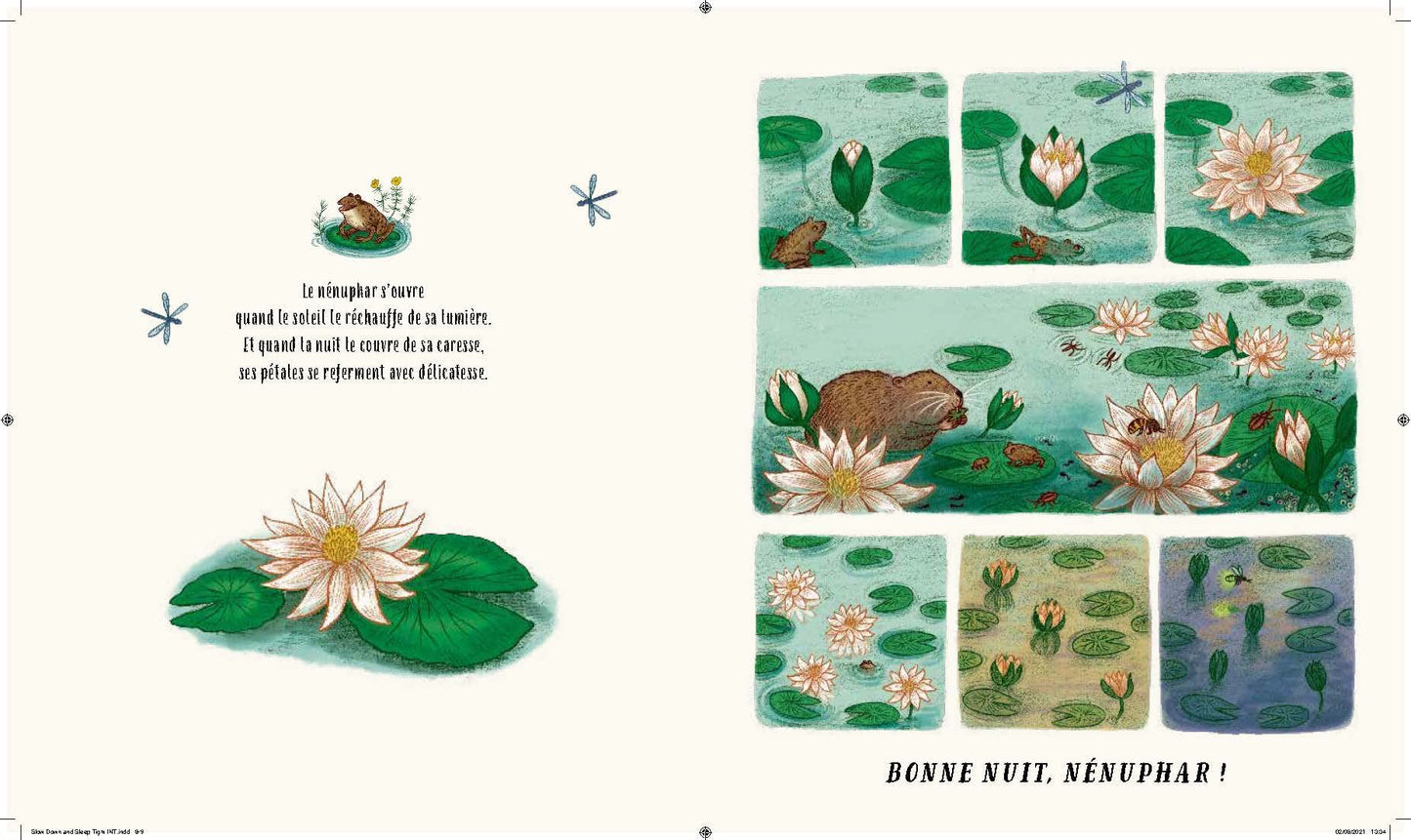 Les secrets de la nature : quand la nuit tombe (slow down... and sleep tight)