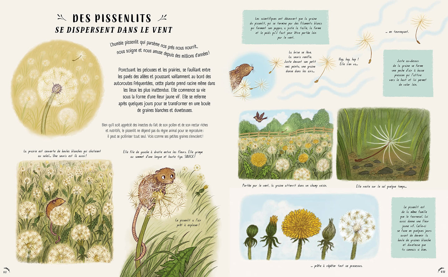 Les secrets de la nature... tout près de toi: Nouvelles histoires merveilleuses