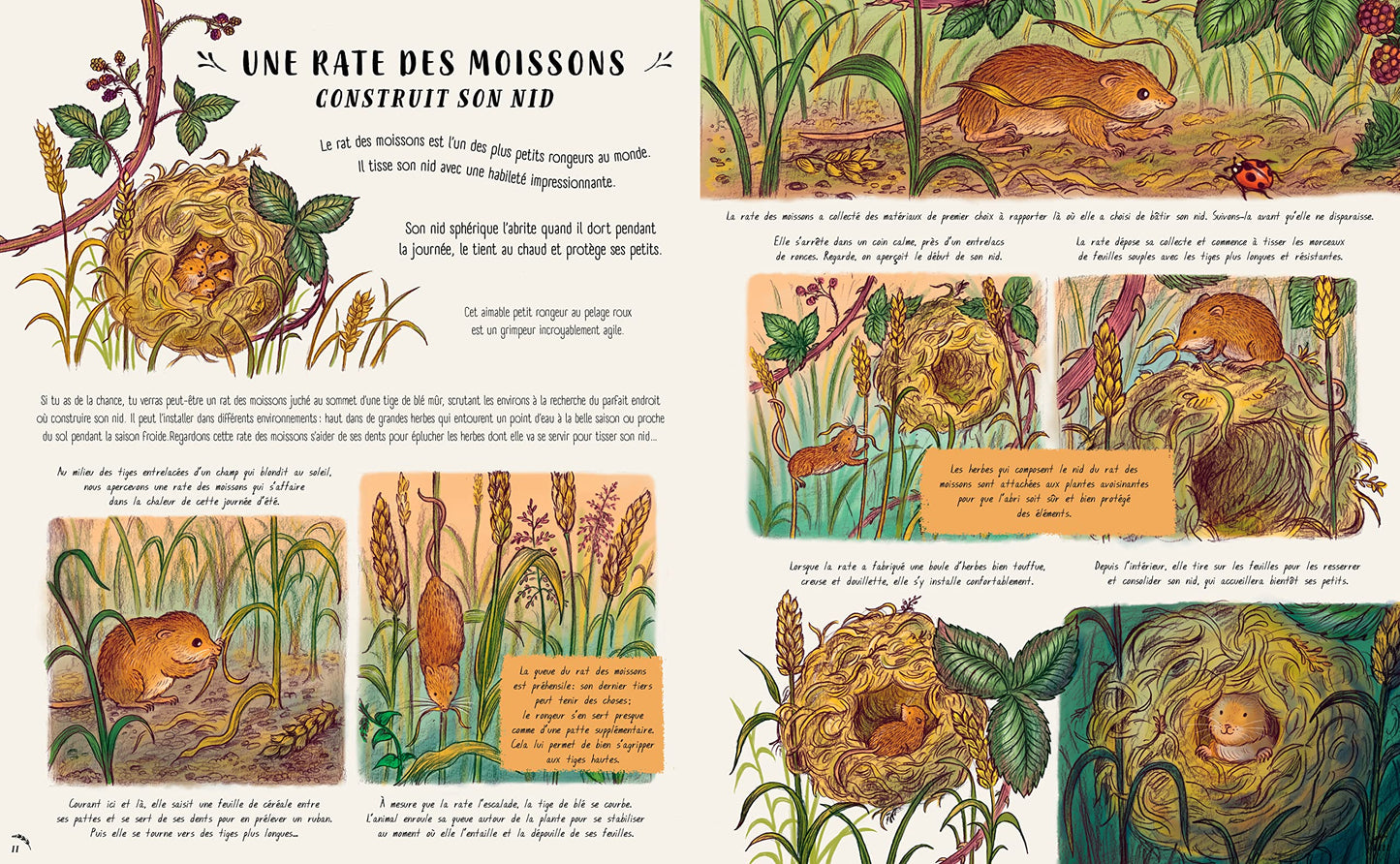 Les secrets de la nature... tout près de toi: Nouvelles histoires merveilleuses