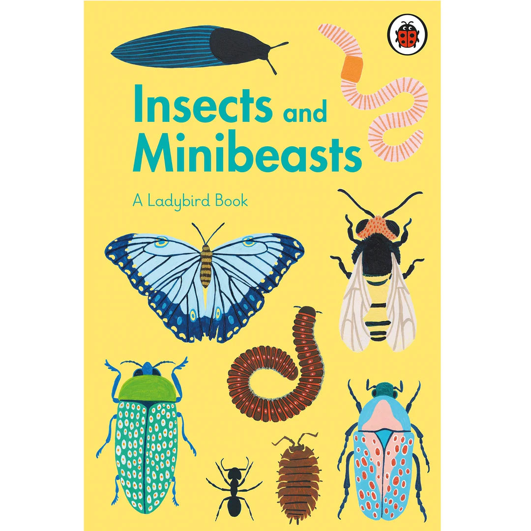 insects and minibeasts; a ladybird book