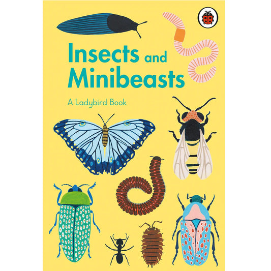 insects and minibeasts; a ladybird book