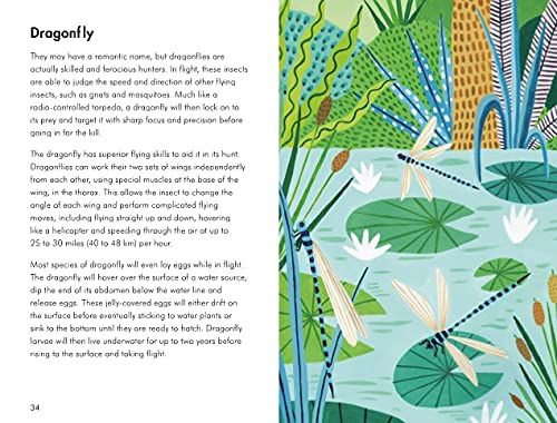 insects and minibeasts; a ladybird book