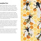 insects and minibeasts; a ladybird book
