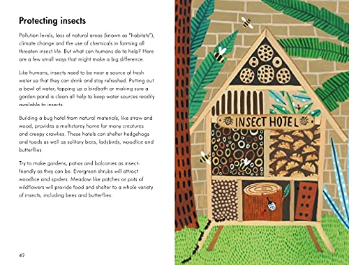 insects and minibeasts; a ladybird book