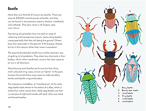 insects and minibeasts; a ladybird book