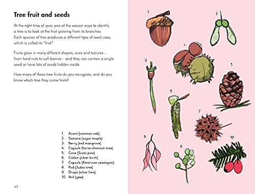 Trees; a ladybird book