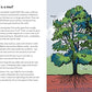 Trees; a ladybird book