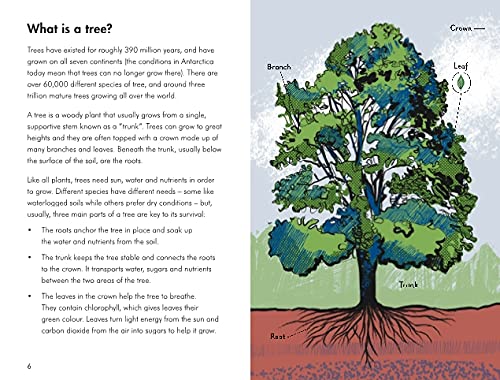 Trees; a ladybird book