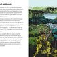 Trees; a ladybird book
