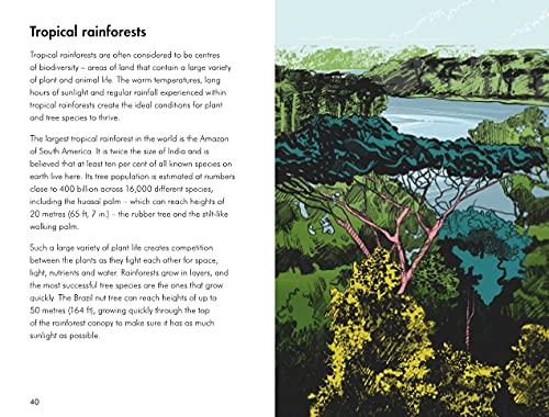 Trees; a ladybird book