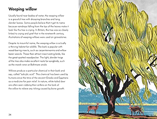 Trees; a ladybird book