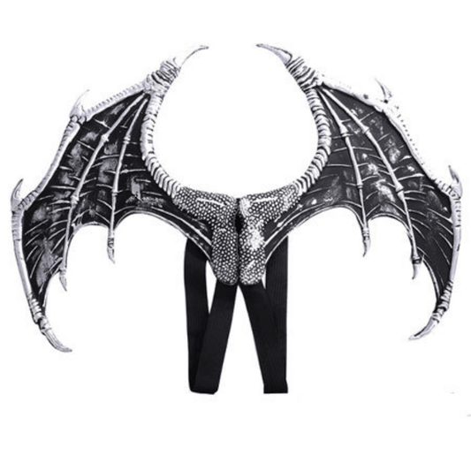 Ailes de dragon