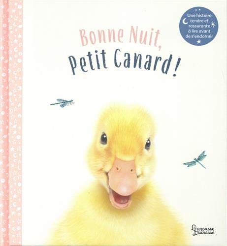 Bonne nuit petit canard
