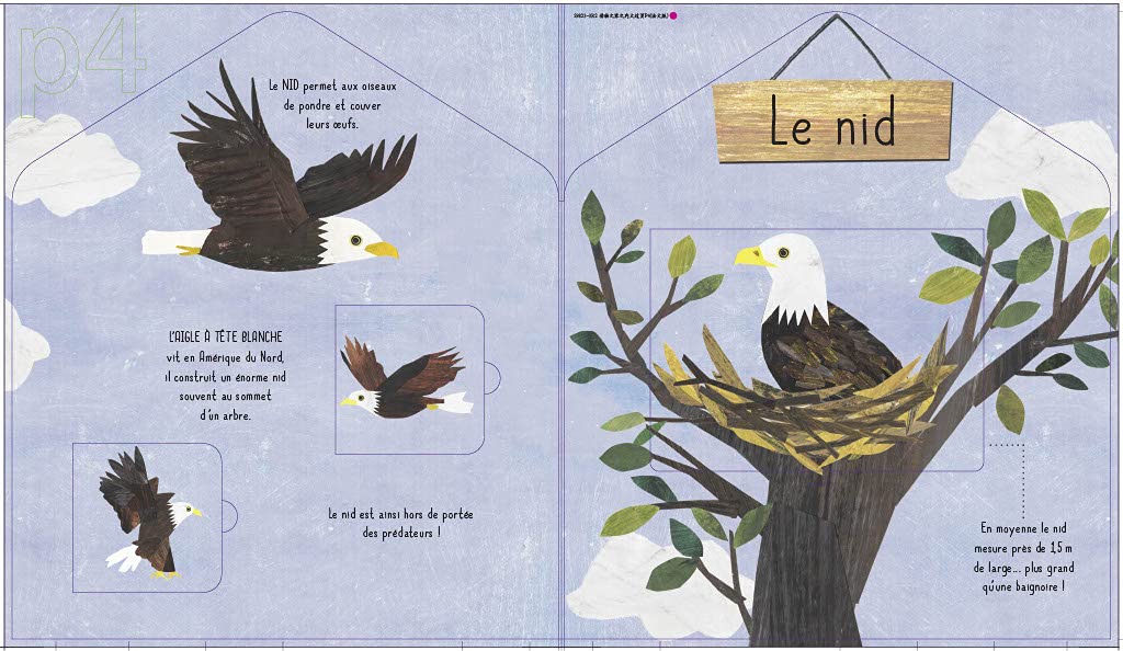 Les maisons des animaux