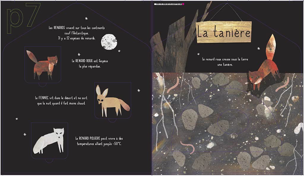 Les maisons des animaux