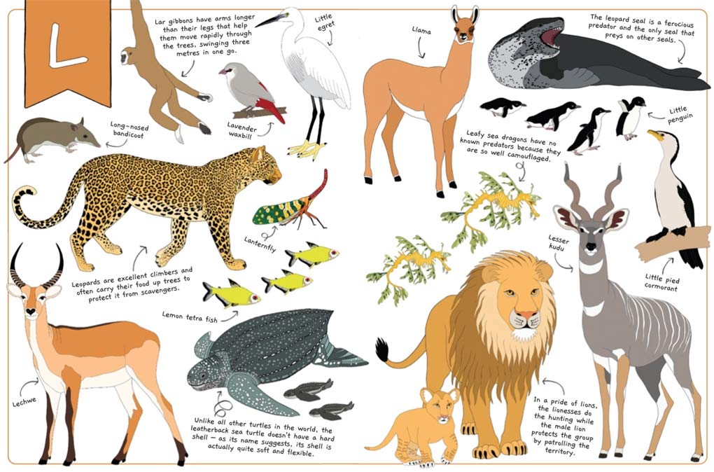 The ultimate animal alphabet book
