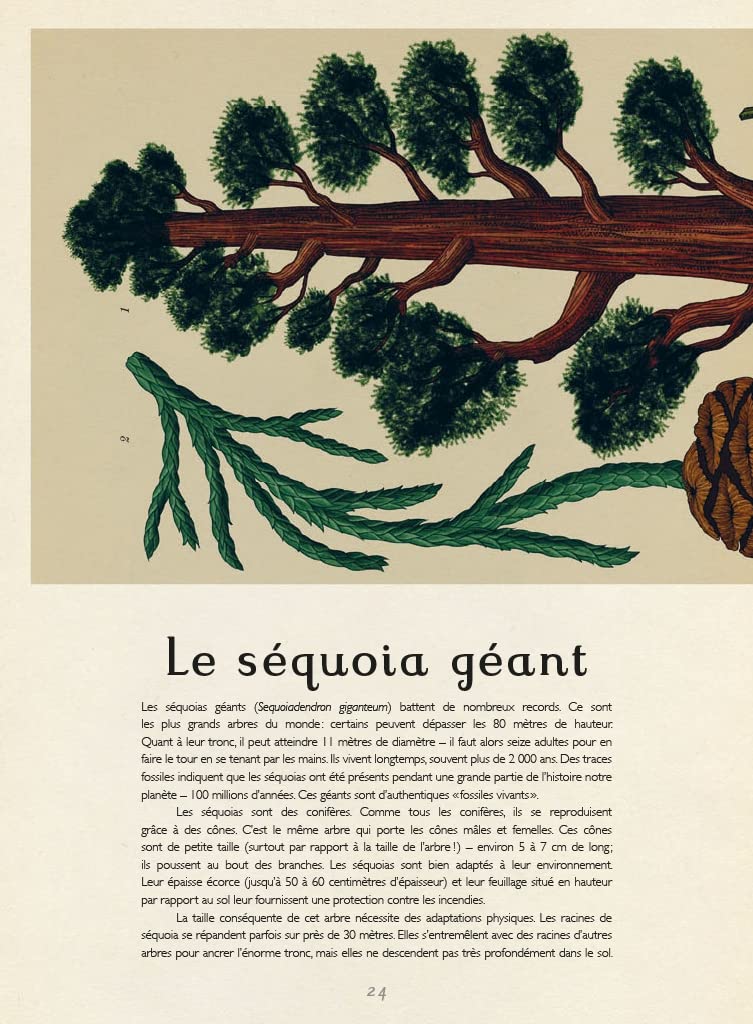 Botanicum