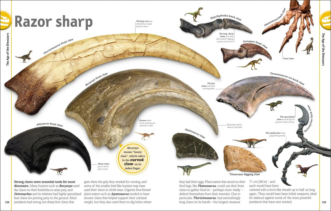 the dinosaur book