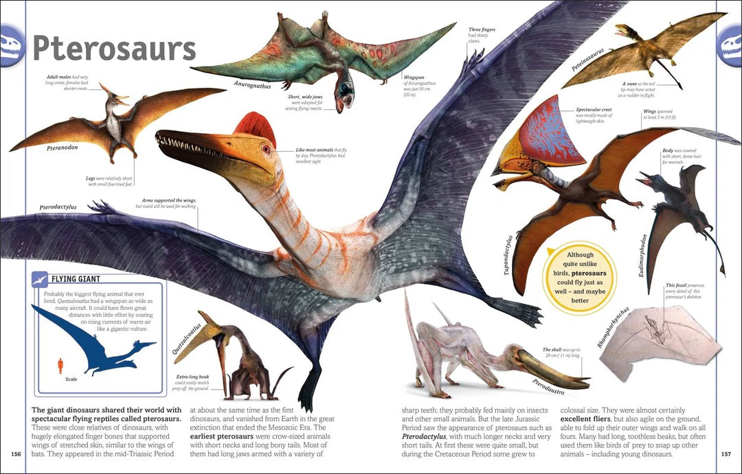 the dinosaur book