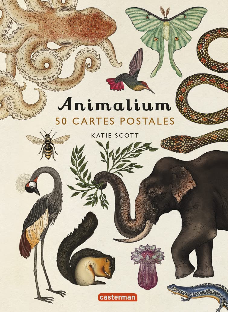 Animalium: 50 cartes postales