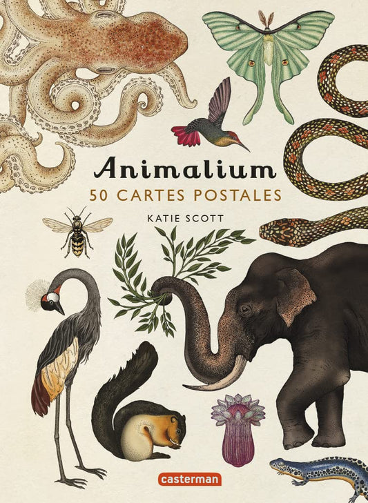 Animalium: 50 cartes postales