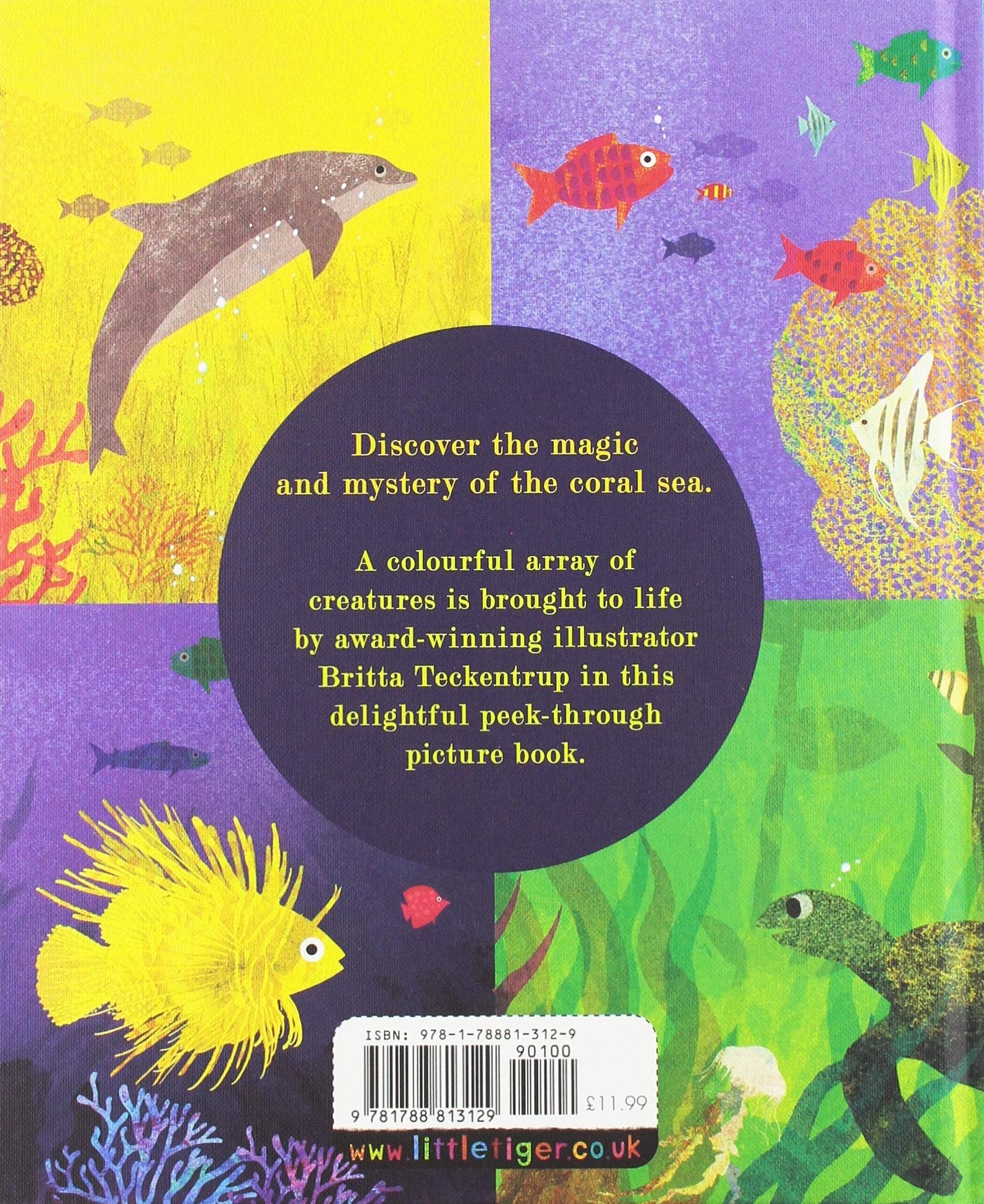 Sea: A World Beneath the Waves