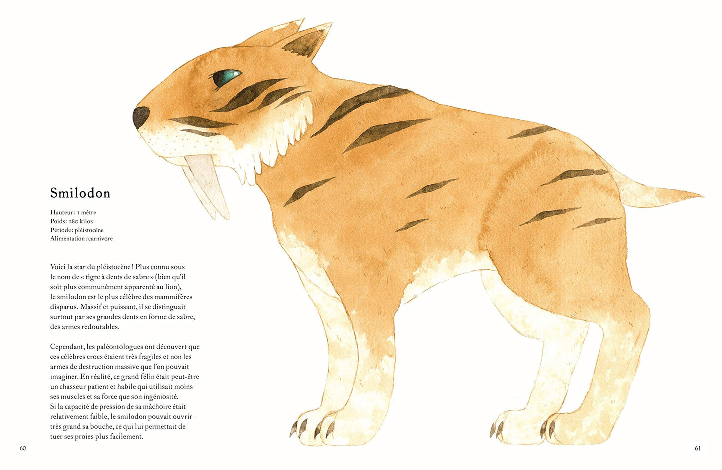 Animaux oubliés
